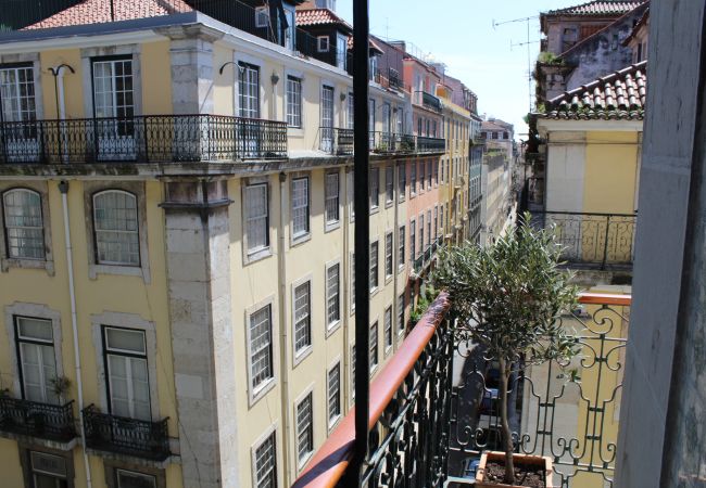Apartment in Lisboa - Central Colorful & Sunny Apartment in Baixa 107 Apartment in Lisboa - Central Colorful & Sunny Apartment in Baixa 107